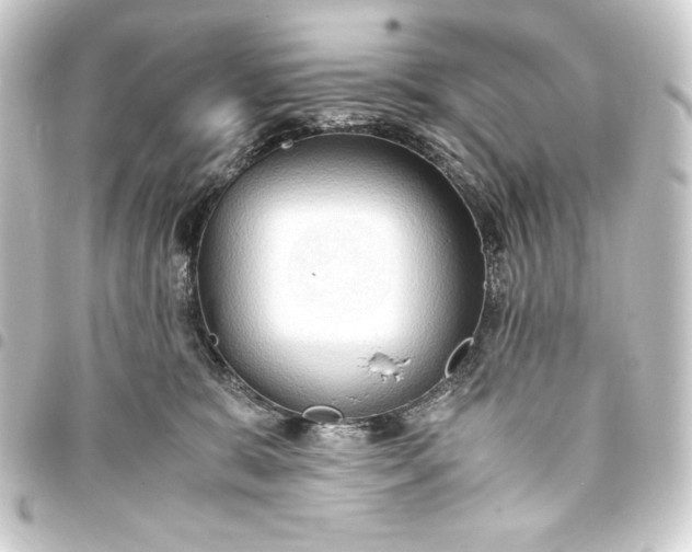 X0000093410327200711021000