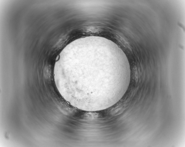 X0000093410328200711021000