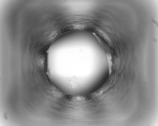 X0000093410329200711021000