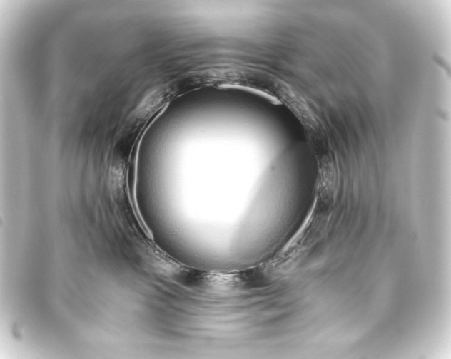 X0000093410333200711021000