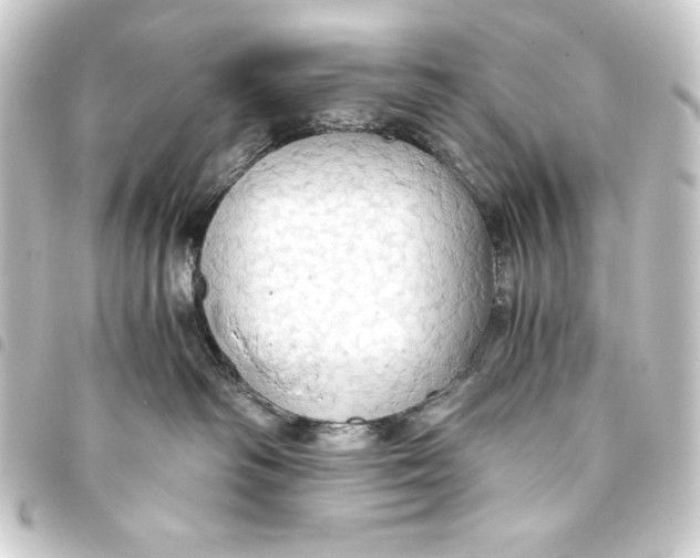 X0000093410334200711021000