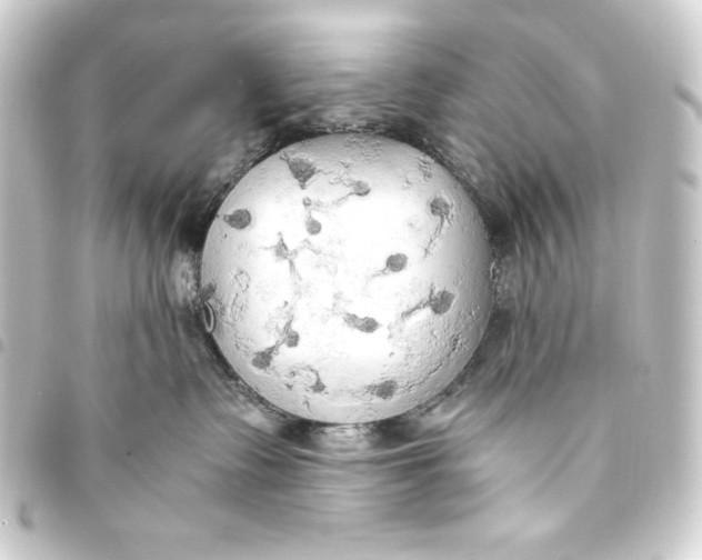 X0000093410335200711021000