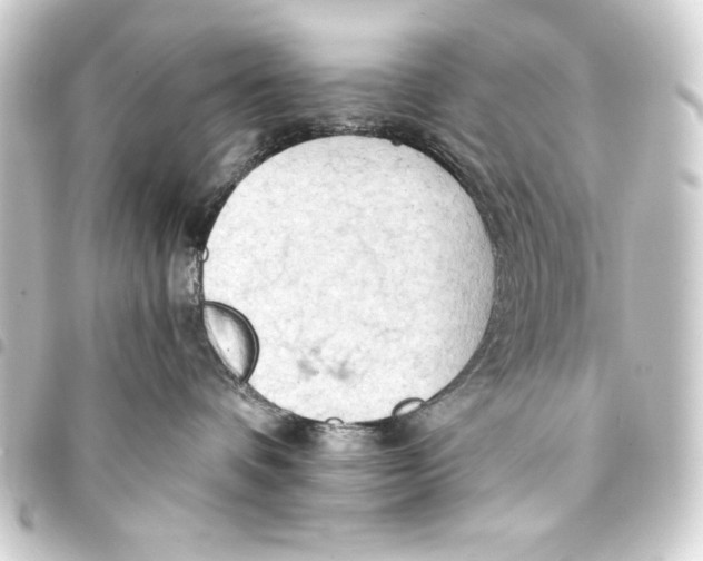 X0000093410336200711021000