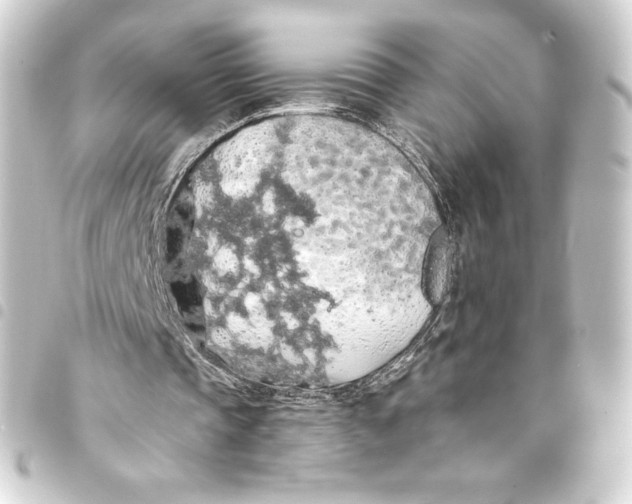 X0000093410337200711021000