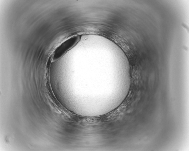 X0000093410338200711021000