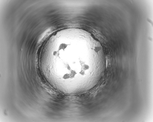 X0000093410339200711021000