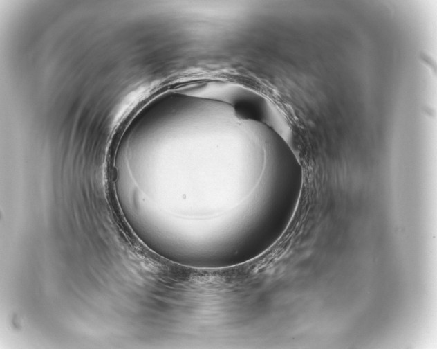 X0000093410340200711021000