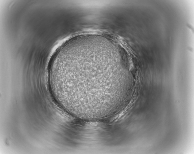 X0000093410342200711021000