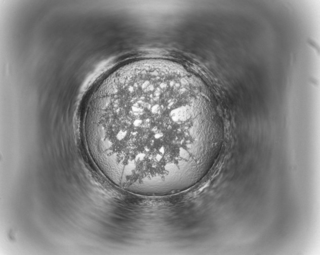 X0000093410343200711021000