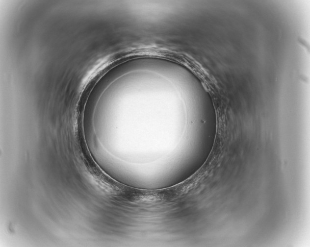 X0000093410344200711021000