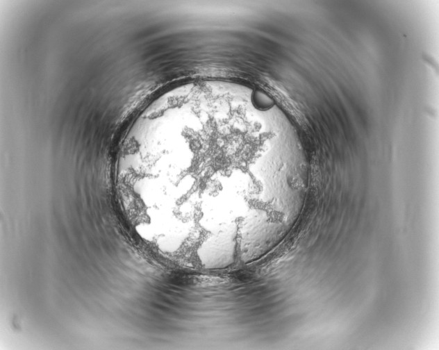 X0000093410347200711021000