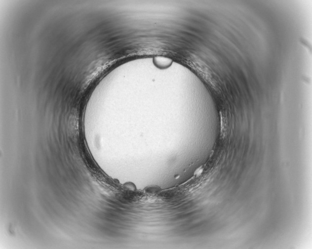 X0000093410348200711021000