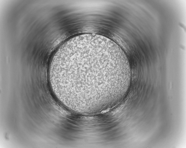 X0000093410349200711021000