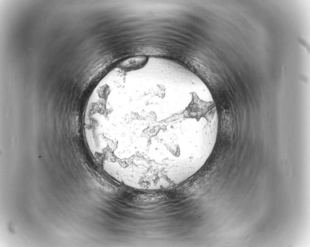 X0000093410351200711021000