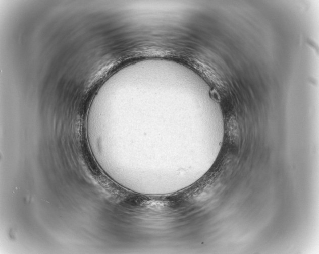 X0000093410352200711021000