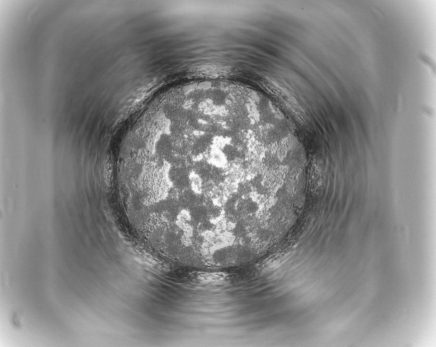 X0000093410355200711021000