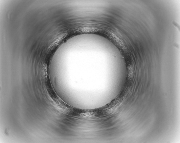 X0000093410356200711021000