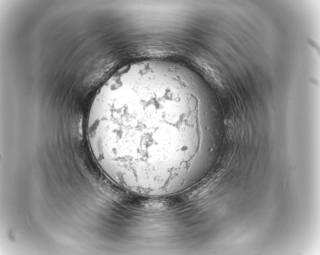 X0000093410358200711021000