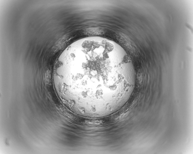 X0000093410359200711021000