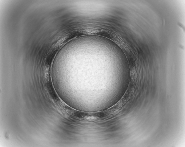 X0000093410360200711021000