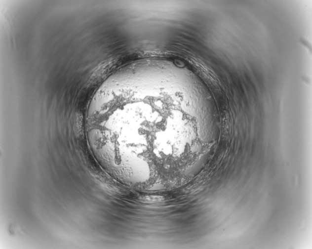 X0000093410361200711021000