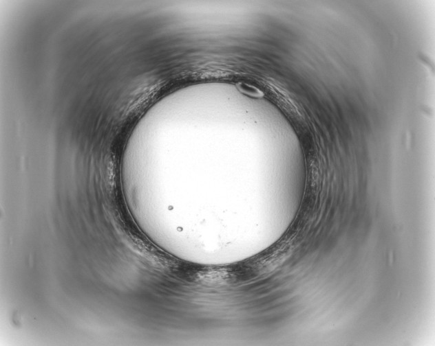 X0000093410362200711021000