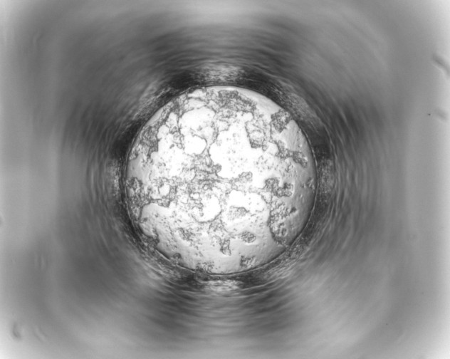 X0000093410363200711021000