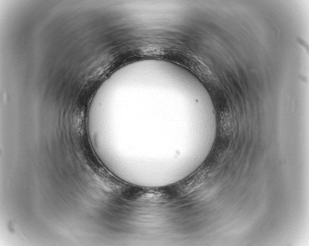 X0000093410364200711021000