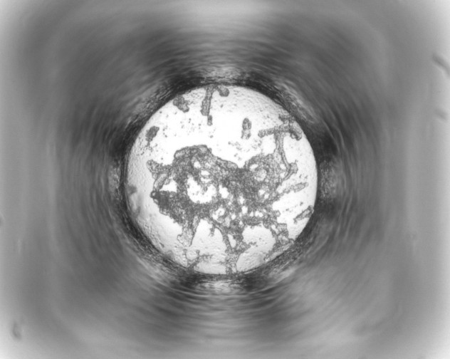 X0000093410365200711021000