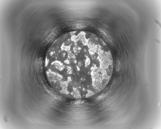 X0000093410366200711021000