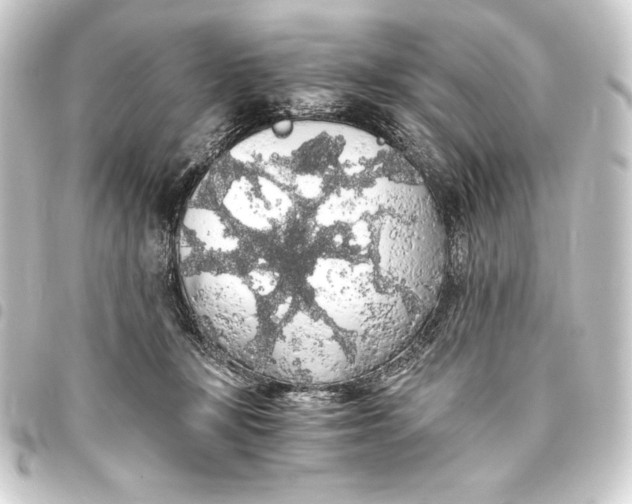 X0000093410367200711021000