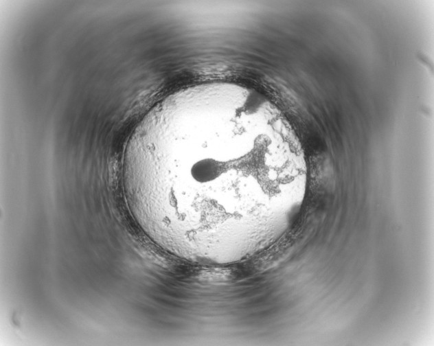 X0000093410369200711021000