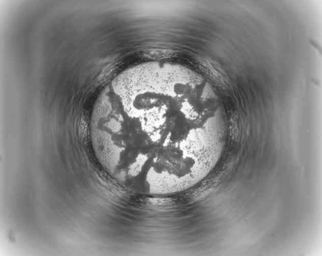 X0000093410371200711021000