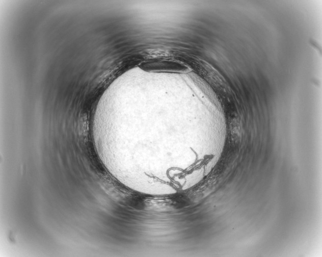 X0000093410372200711021000