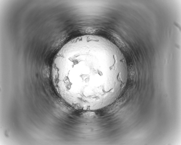 X0000093410374200711021000