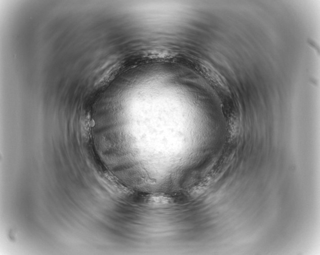 X0000093410376200711021000