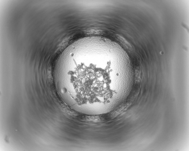 X0000093410377200711021000