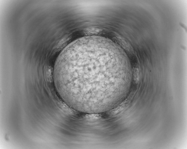 X0000093410378200711021000