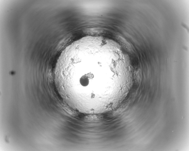 X0000093410381200711021000