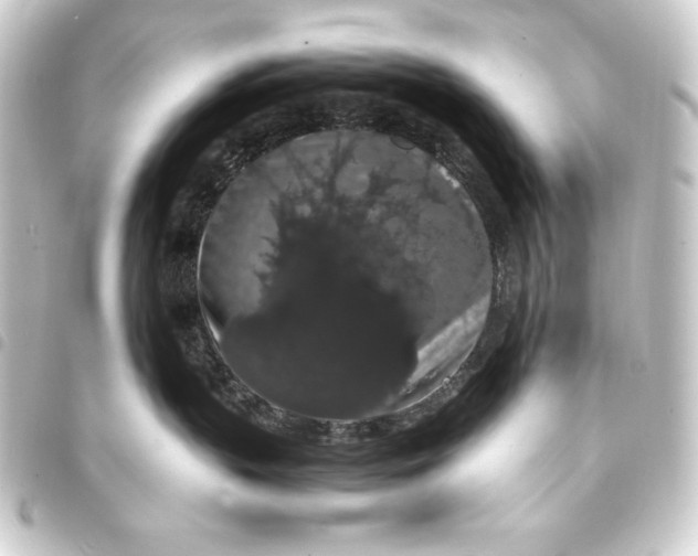 X0000093410383200711021000