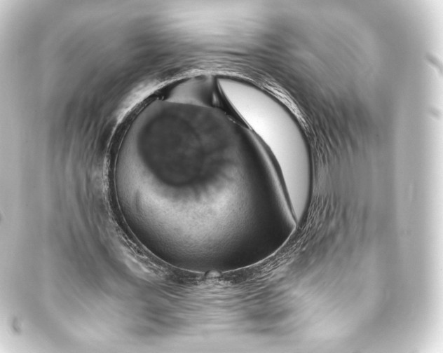 X0000093410387200711021000