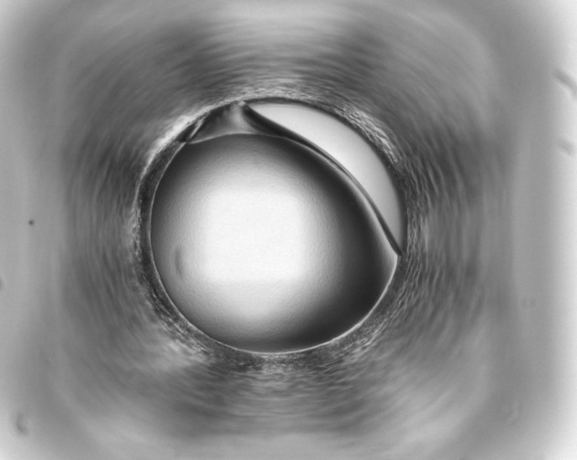 X0000093410388200711021000