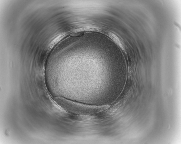 X0000093410389200711020959