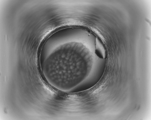 X0000093410391200711020959