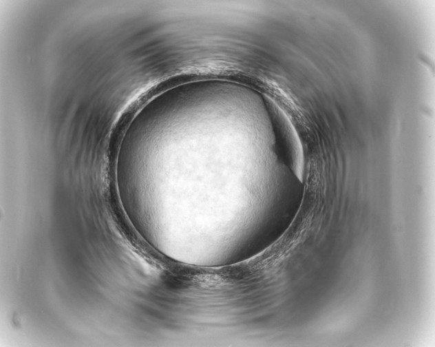 X0000093410392200711020959