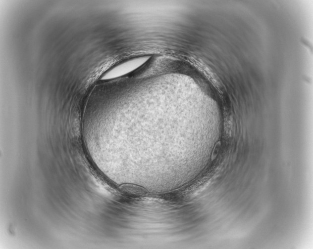 X0000093410393200711020959