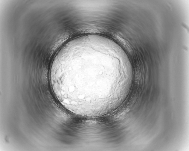 X0000093410394200711020959