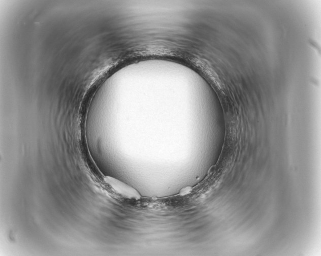 X0000093410395200711020959