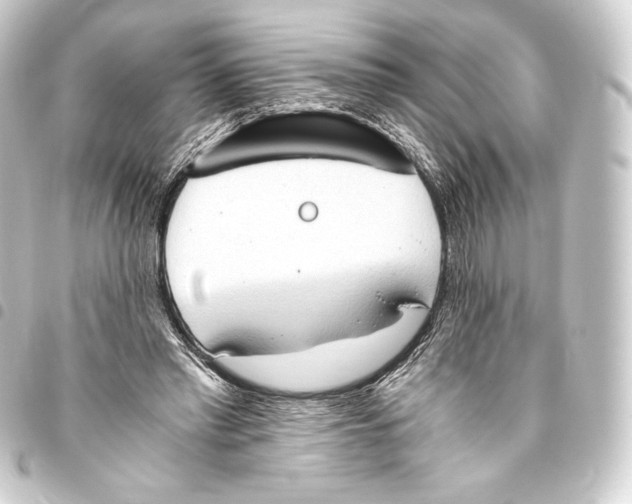 X0000093410397200711020959