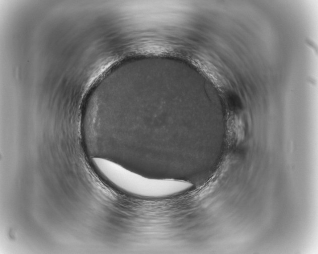 X0000093410399200711020959